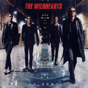 Heroin by The Wildhearts