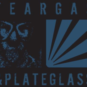 Tear Gas And Plate Glass