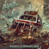 Vulvocrania: Societal Lobotomisation