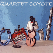 Kelmit by Quartet Coyote