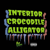 Chip Tha Ripper: INTERIOR CROCODILE ALLIGATOR