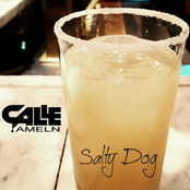Salty Dog