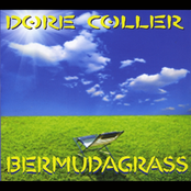Dore Coller: Bermudagrass