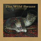 The Coldest Winter For A Hundred Years by The Wild Swans