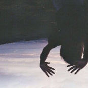 (2017)