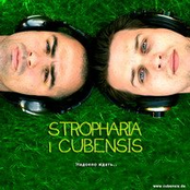 Stropharia I Cubensis