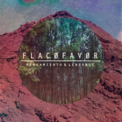 Pensamiento & Lenguaje