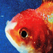 Vince Staples: Big Fish Theory