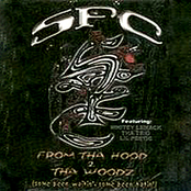 From The Hoodz To Tha Woodz