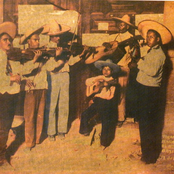 Mariachi Coculense 