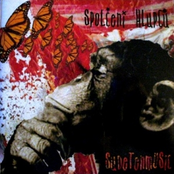 Sudetenmusic (2007)