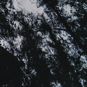 The Xiumb Experience