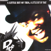 Little Bit of This, Little Bit of That