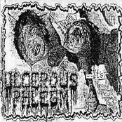 It's Inside Your Guts