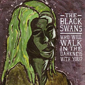 Who Will Walk In The Darkness With You? by The Black Swans