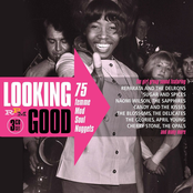 Looking Good: 75 Femme Mod Soul Nuggets