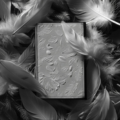 The tortured poets department, but lofi: pt. I