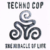 The Miracle Of Life
