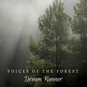 Voices of the Forest