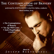 The Contemplation Of Bravery