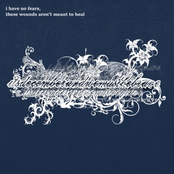i have no fears, these wounds aren't meant to heal