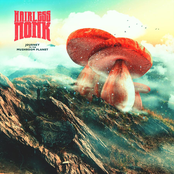 Journey to the Mushroom Planet