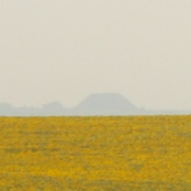 Land of the Questions