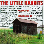 Apocalyptic Happening by The Little Rabbits