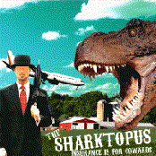 Insurance Is For Cowards