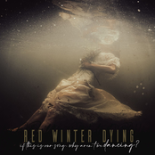 If This Is Our Song, Why Aren't We Dancing?