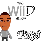 The Wiid Album