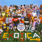 Exotic Beatles Vol 2