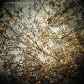 Horse Feathers: Thistled Spring