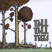 Tall Tall Trees: Tall Tall Trees