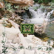 Energetic Sovereignty