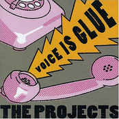 Voice is Glue Album Picture