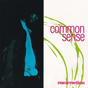 Common: Resurrection