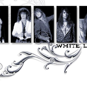 white lize