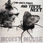 Satellite Skin by Modest Mouse