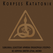 Sensitive Liberated Autistiks