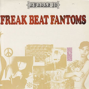 Rubble 13 - Freak Beat Fantoms