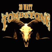 20 Watt Tombstone: Wisco Disco