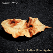 For the Fallen (Rise Again)