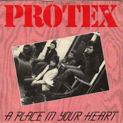 Jeepster by Protex