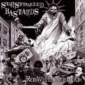 Wasted Years by Star Strangled Bastards