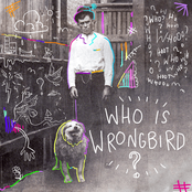 Who Is Wrongbird?