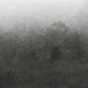 Bruits de Chênes & d'Ossements