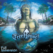 Treehouse!: Full Immersion