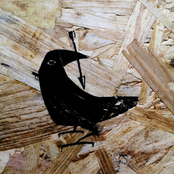 Polbora Usain Eta Guzti