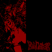 Sporadical Rot / Untitled